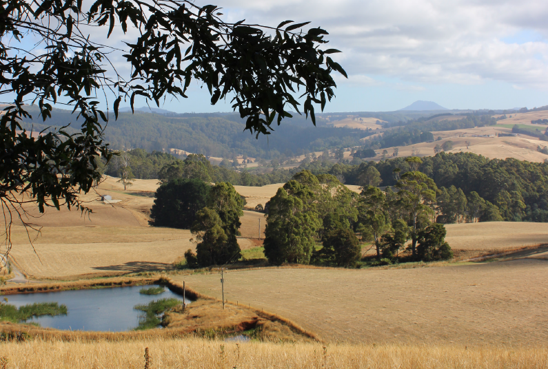 blythe river corridor