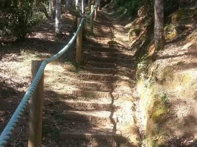 track steps