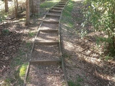 track steps2